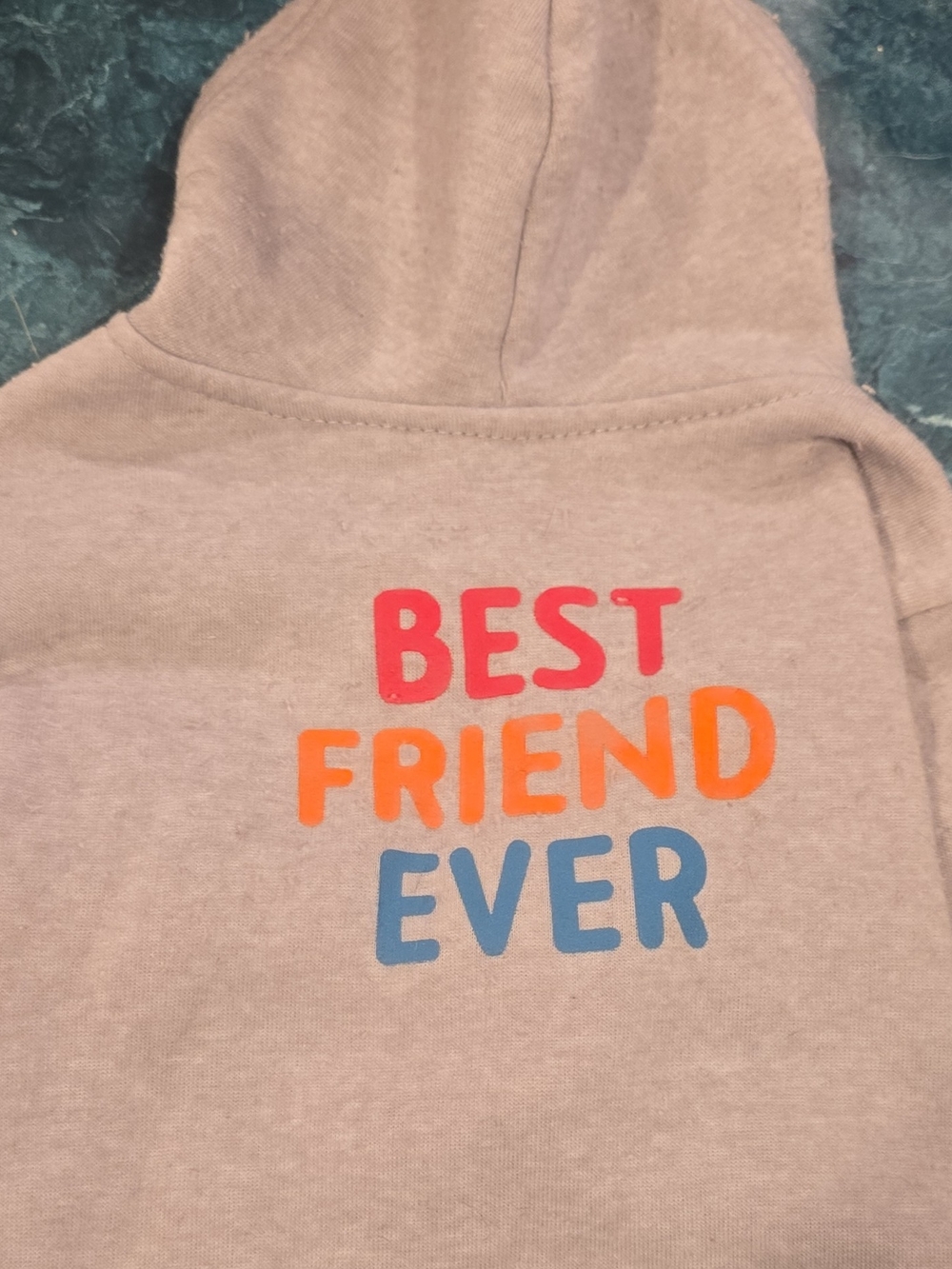 'Best Friend Ever' Pink Dog Hoodie - Cozy Pet Pullover